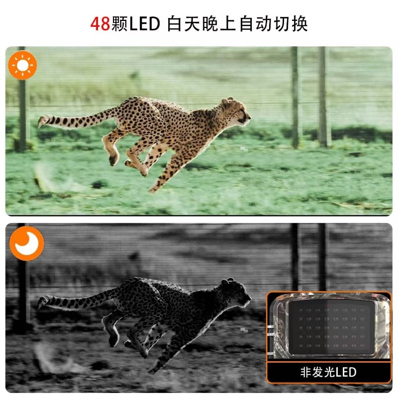 SONDERANGEBOT DL001 Jagdkamera – Outdoor Hunting Images Bewertung und Preis